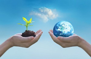 Holding earth and green tree in hands, world environment day concept, saving growing young tree, Element of this image furnished by NASA